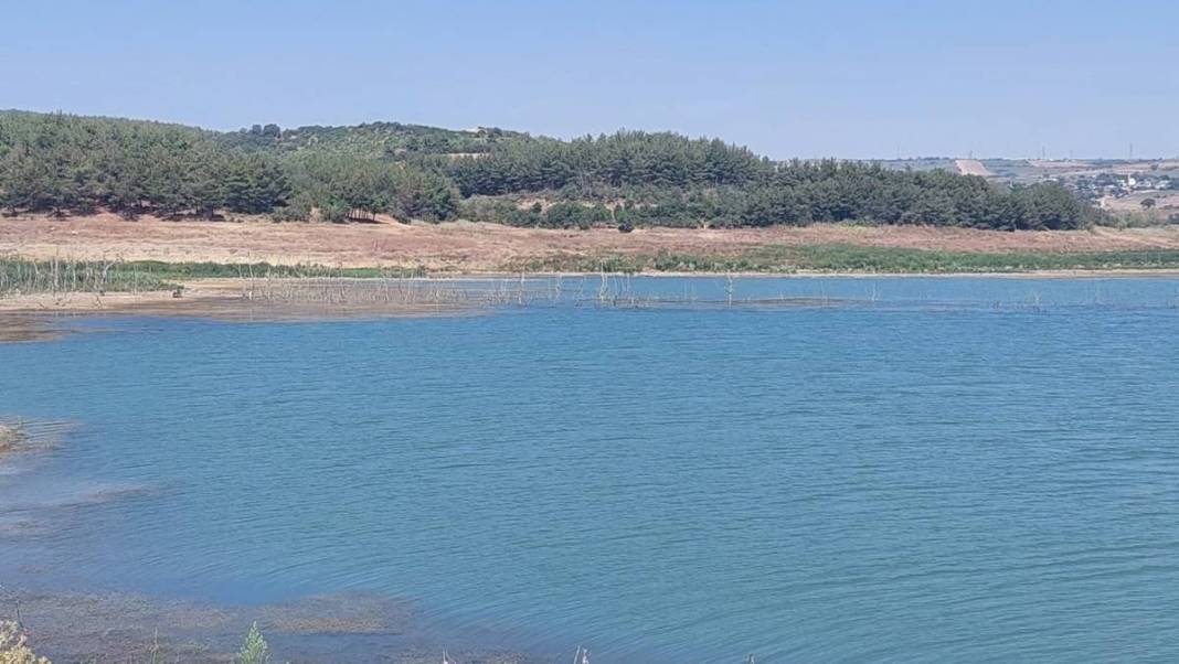 Yerin altı üstüne çıktı! O ilimizde korku büyüyor, aniden gün yüzüne çıkıverdiler 3